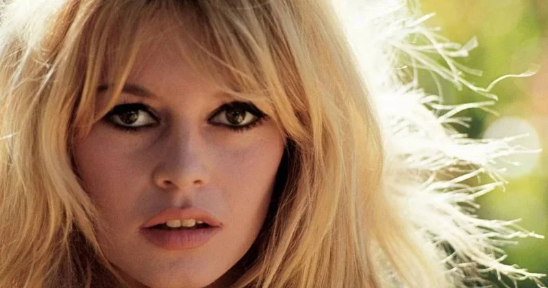 Ödül gecesine protestolar damga vurdu! Brigitte Bardot ya ırkçı tepkisi