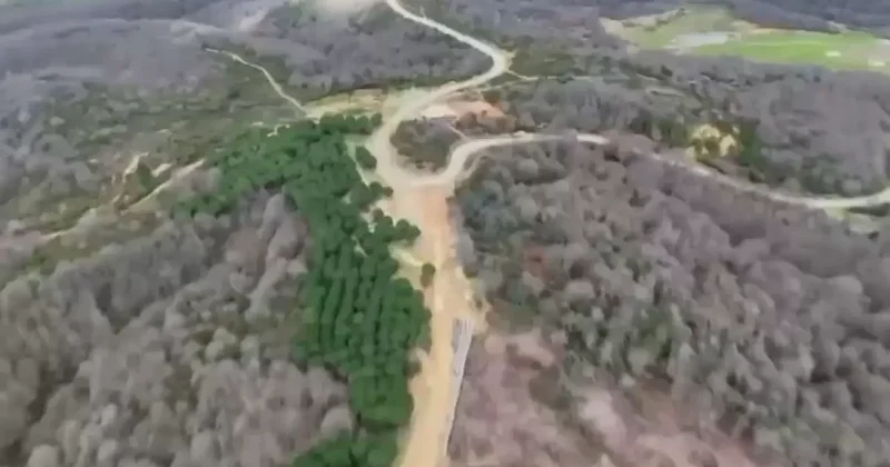 Çiftlikte Testereyle Saldırı