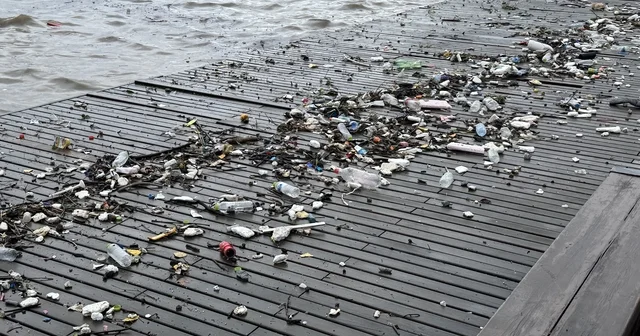 Dalgalarla sürüklenen plastik atıklar sahile vurdu Zonguldak Haberleri