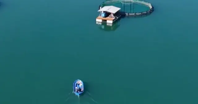 Kahramanmaraş ta yetişen balıklar dünyaya açılıyor VİDEO İZLE