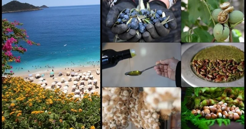 Coğrafi işaret başvurusunda Antalya, tescilinde Hatay zirvede yer aldı