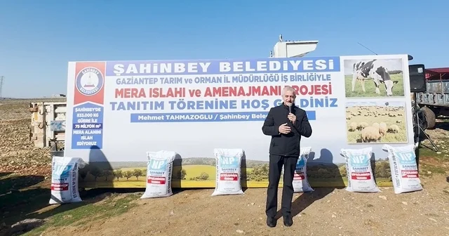 Şahinbey Belediyesi 75 milyon metrekarelik mera alanını gübreledi Gaziantep Haberleri