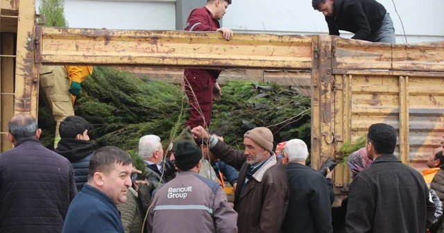 Bafra da Dünya Ormancılık Günü etkinliğinde 23 bin 900 fidan dağıtıldı Samsun Haberleri