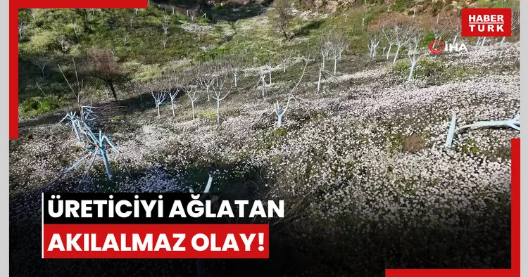 Üreticiyi ağlatan akılalmaz olay!
