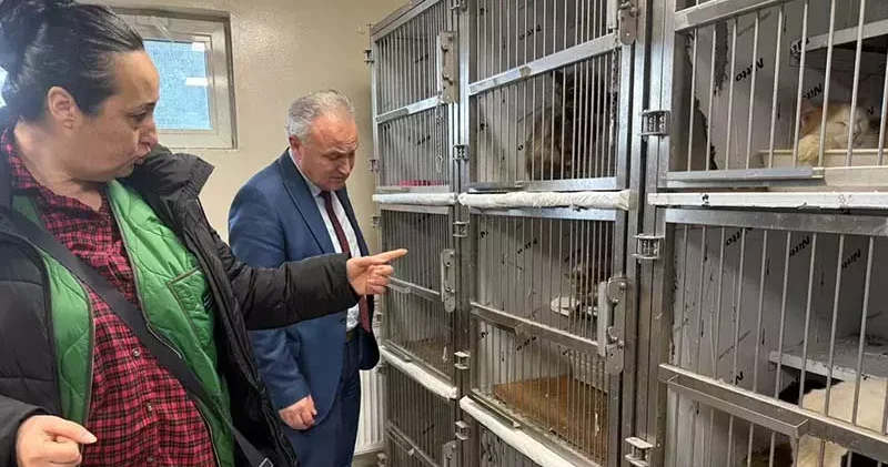 Ankara da kötü şartlarda tutulan 102 hayvana el konuldu