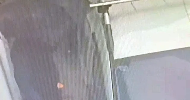 Araç faresi yakayı ele verdi Bursa Haberleri