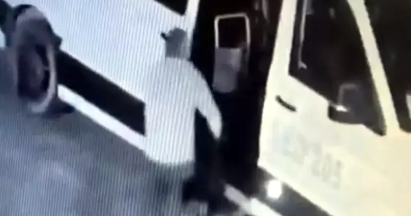 Avcılar da mahallenin maskotu Garip isimli köpeği çalan şüpheli yakalandı