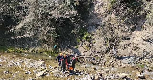 Zonguldak ta defne yaprağı topladığı sırada yüksekten düşen kadın yaralandı Zonguldak Haberleri