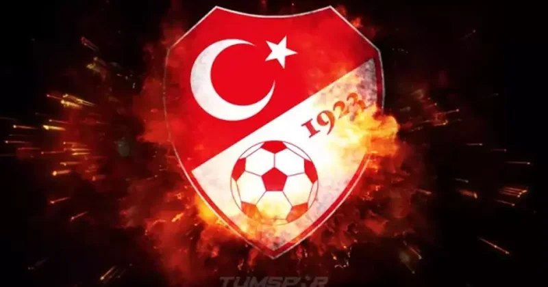 TFF den 7 kulübe ceza! Puanları silinecek