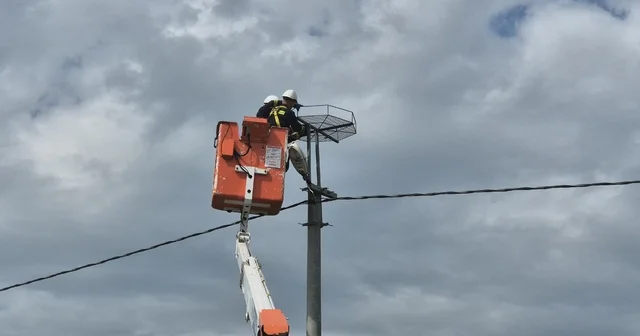 Ölüm hattıydı, yuvalara dönüştü: Bini aştı Tekirdağ Haberleri