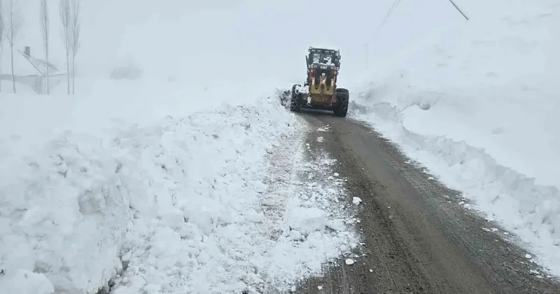 Hakkari’de 61 yerleşim yerinin yolu kapandı