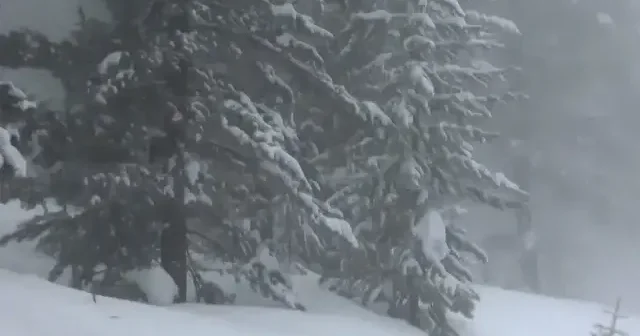 Kars ta bahar karı: Sarıkamış yeniden beyaza büründü VİDEO İZLE