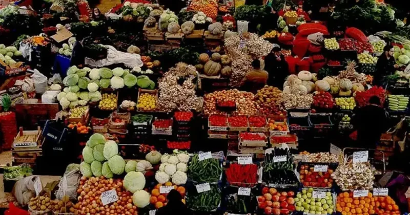 TÜİK 2025 bitkisel ürün denge tablolarını açıkladı: Bu meyvede bolluk hat safhada