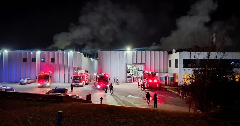 Tekirdağ da fabrikada yangın