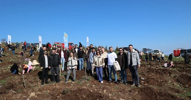 İyilik Kulübü, Yeşil Vatan için sahada YEDAŞ, Yüzlerce fidanı toprakla buluşturdu Samsun Haberleri