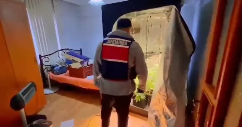 Yalova’da evinde uyuşturucu yetiştiren şüpheli yakalandı