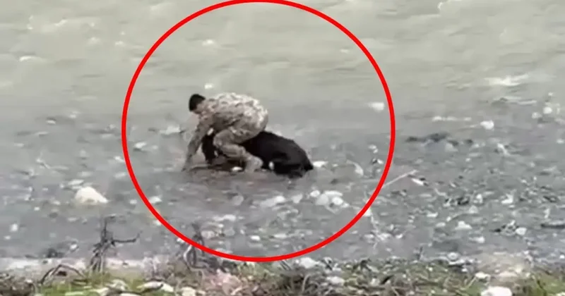 Başrolde polis memuru var: Siirt te çekilen görüntü Türkiye gündemine oturdu