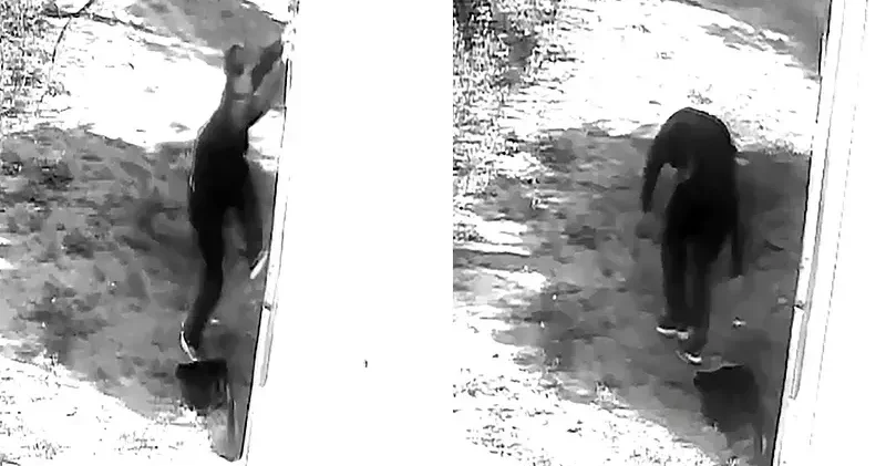 Balkonundan girdiği daireden dizüstü bilgisayar çalan şüpheli tutuklandı