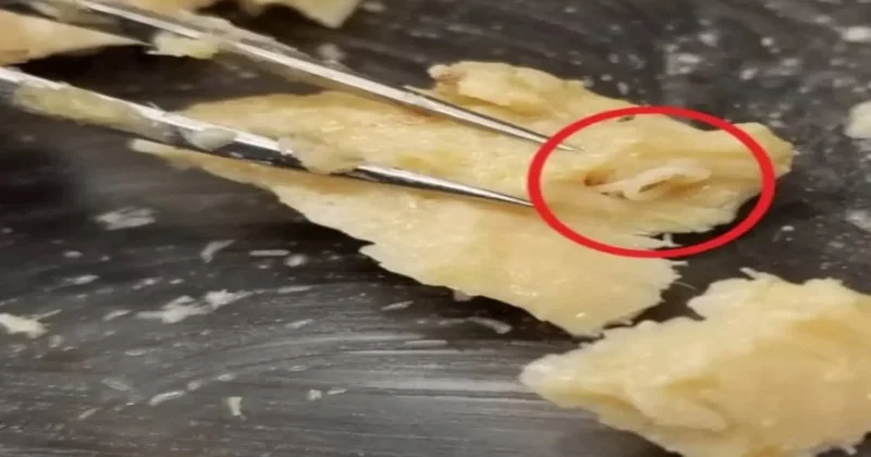 42 yıllık konservenin içinden çıkan büyük keşif Sözcü Gazetesi