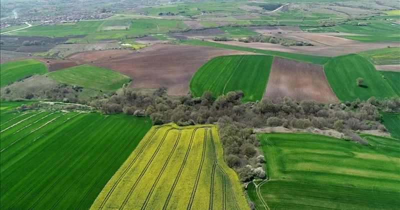 İstanbul’a komşu 4 şehir sessizce değerleniyor: Yatırım yapan servet kazanacak Sözcü Gazetesi