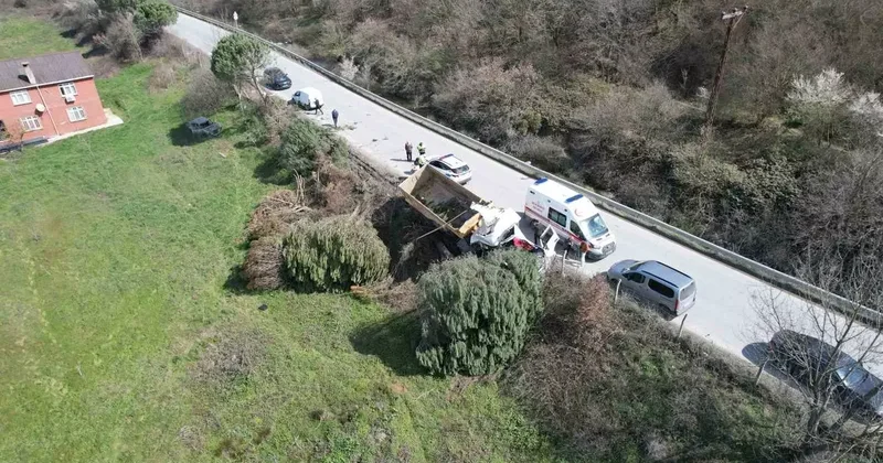 Arnavutköy de hafriyat kamyonu çayırlık alana uçtu, ağaçlar devrildi!