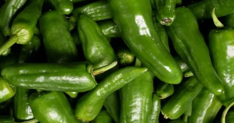 Bakanlıktan biber fiyatlarına inceleme