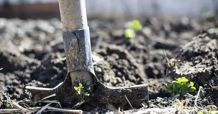 Gübrede vergi sıfırlandı: Yeni karar yürürlükte