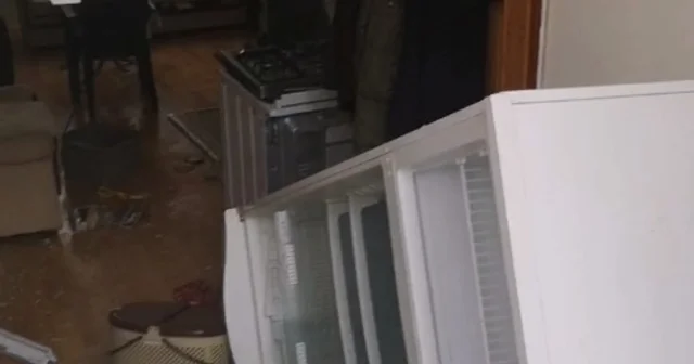 Aç kalan ayılar, pencereden girdiği yayla evini talan etti Trabzon Haberleri