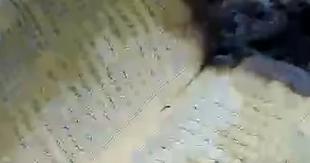 Giresun’da küle dönen evde bir tek Kur’an ı Kerim yanmadı VİDEO İZLE