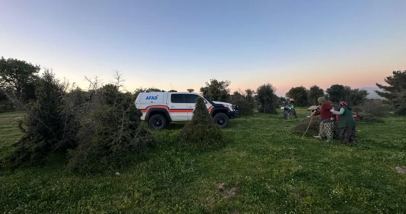 Çanakkale de ormanda bir kişi kayboldu: Ekipler tarafından çalışma başlatıldı Gündem Haberleri