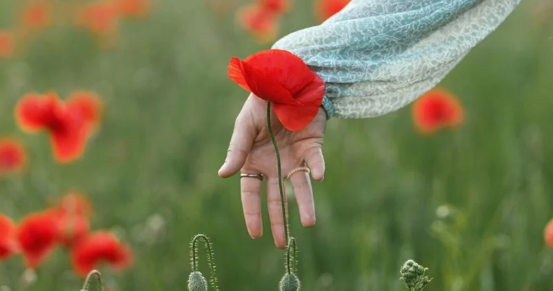Hayata yeniden heyecan kazandırmanın 8 yolu