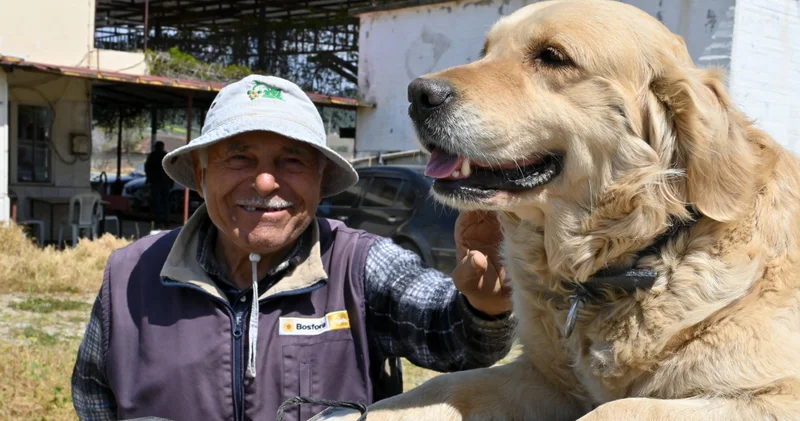 Abdullah dedeyle Betty nin yürek ısıtan dostluğu! Traktörü çalıştırmadan anlıyor