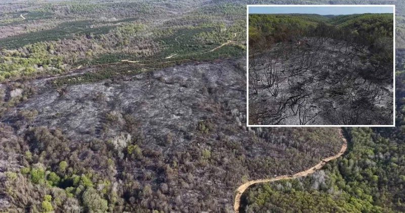 Beykoz’daki yangının bilançosu gün ağarınca ortaya çıktı İstanbul Haberleri