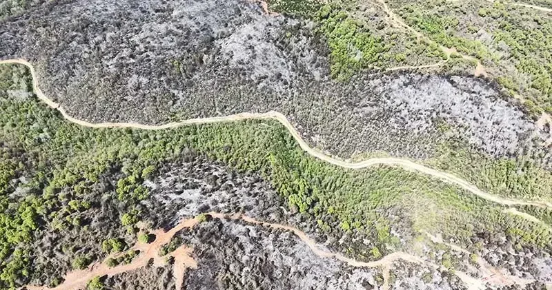 Beykoz da orman yangını; zarar gören alan havadan görüntülendi