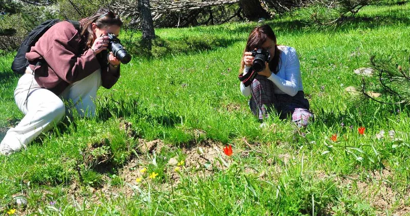Senede bir defa açıyor! Koparmanın cezası belli oldu