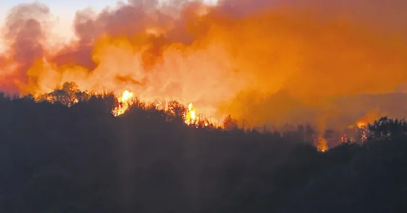 Orman yangınlarına dikkat