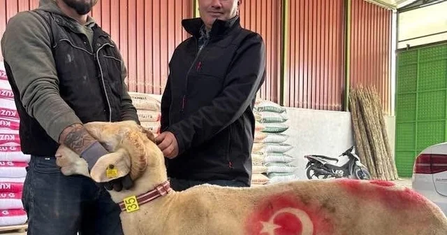 Sarıgöl de kurbanlık pazarı hareketlendi Manisa Haberleri