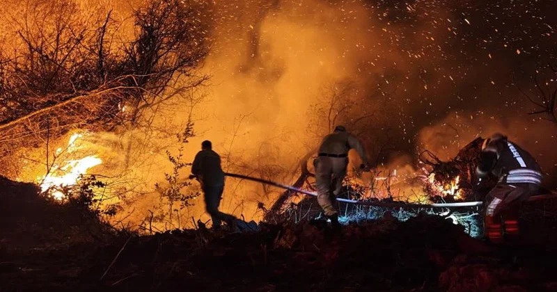 İstanbul Valiliği: Beykoz daki Orman Yangını Yeniden Kontrol Altına Alındı