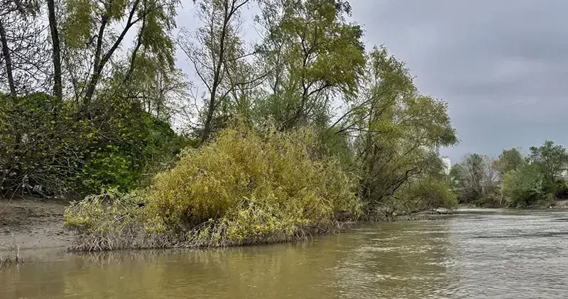 Nehre düşen 10 yaşındaki Ahmet ten 7 gündür bir iz yok