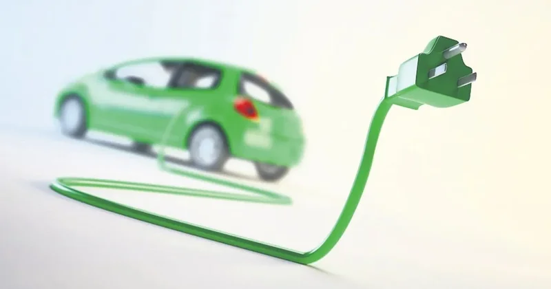 Ankette ürkek bayide cesur