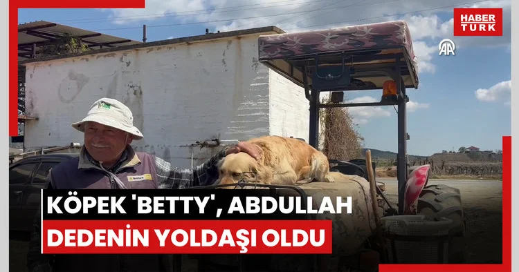 Köpek Betty , Abdullah dedenin yoldaşı oldu