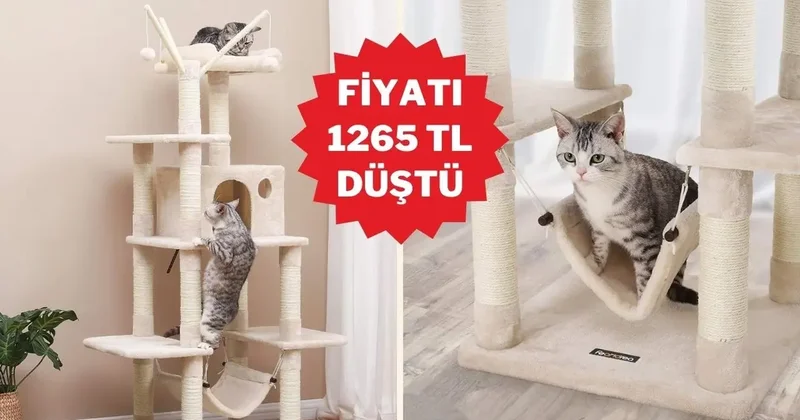 Hem sağlam hem eğlenceli: Feandrea tırmanma ağacı şimdi indirimde