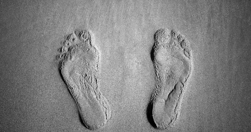 Tarih öncesi dinlenme tesisinde 115 bin yıllık gizemli insan ayak izleri bulundu Sözcü Gazetesi