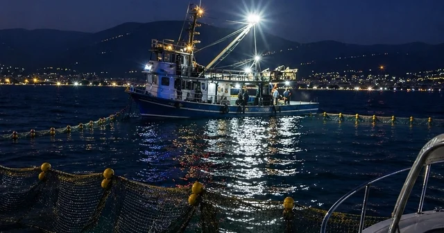Gemlik Körfezi nde sardalya avcılığı başladı Amatör teknelere önemli uyarı geldi Bursa Haberleri