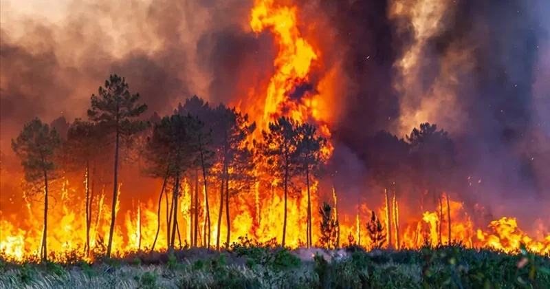 Cezası ağır! Yaz gelirken 30 ilde düğmeye basıldı: Sıfır tolerans