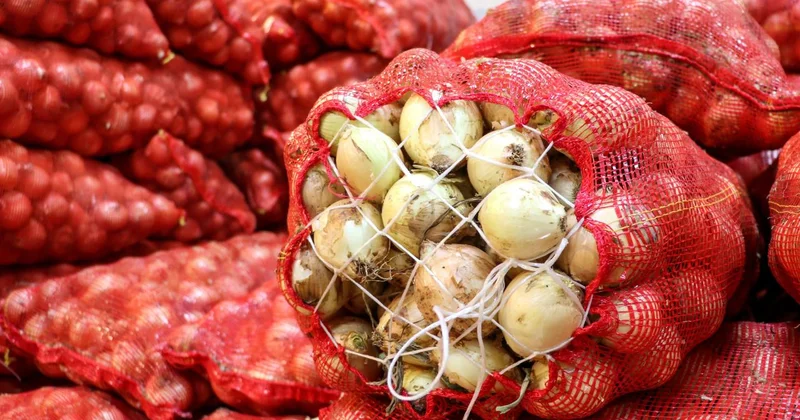 Kuru soğan ihracatı yıla hızlı başladı