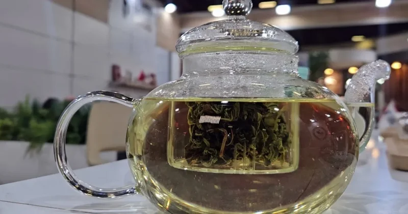 Antioksidan deposu çay Rize de özel olarak üretiliyor: Kilosu 40 bin TL