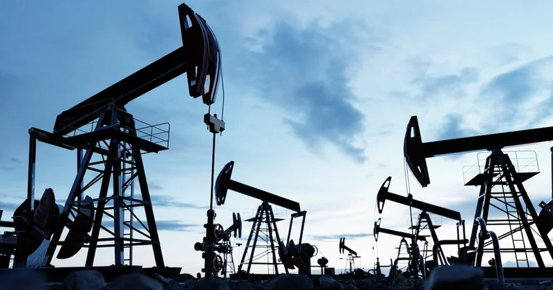 Petrol çıktı o bölgede arazilere el konulacak: Bu kişilerin tarlaları da listede Sözcü Gazetesi