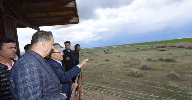 Başkan Büyükkılıç: Sultan Sazlığı yeniden canlandı Kayseri Haberleri