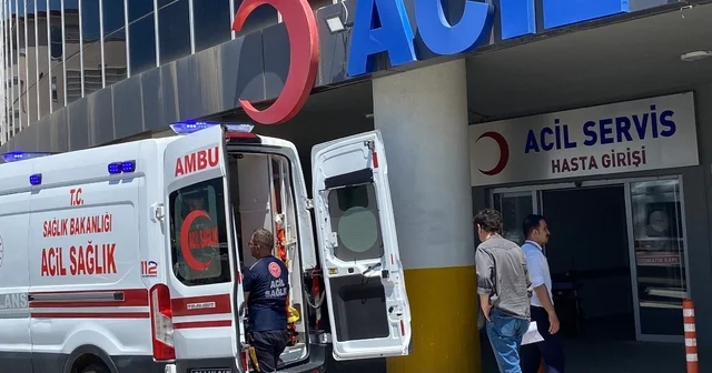 Erzincan da acemi kasaplar hastanenin yolunu tuttu Erzincan Haberleri